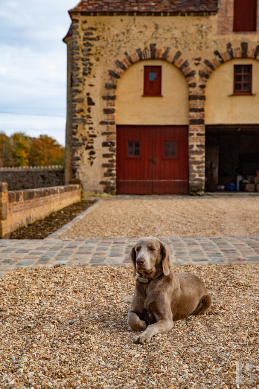 En Eure-et-Loire, à l’ouest de Chartres, un château du 17e dans un parc de 140 ha traversé par l’Eure - photo  n°41